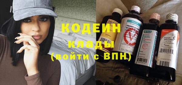 хмурый Алексин