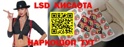 гидра Бердск