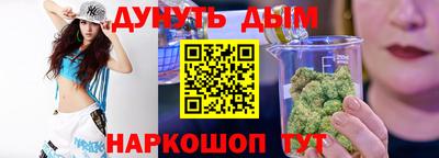 гидра Бердск