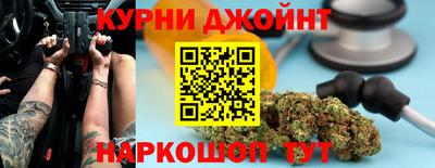 гидра Бердск