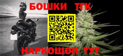 сатива Гатчина