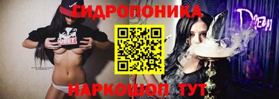 гидра Бердск