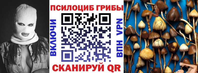 сколько стоит  Белогорск  Псилоцибиновые грибы ЛСД 