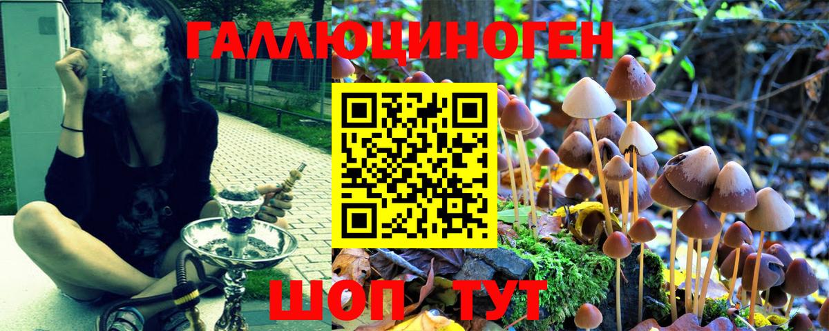 Галлюциногенные грибы ЛСД  Вход с VPN  Галлюциногенные грибы прущие грибы  где купить наркоту  Белогорск 