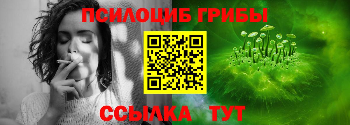 Псилоцибиновые грибы прущие грибы Белогорск